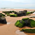 Vakantiehuis Les - Naturaleza, Chimenea Y Relax En Asturias