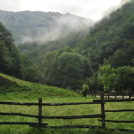 Les - Naturaleza, Chimenea Y Relax En Asturias Carbajal