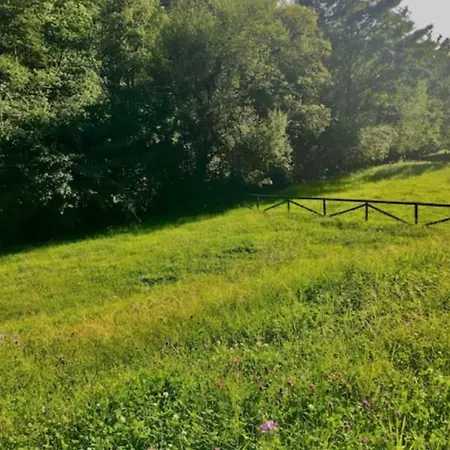 Les - Naturaleza, Chimenea Y Relax En Asturias Hébergement de vacances Carbajal