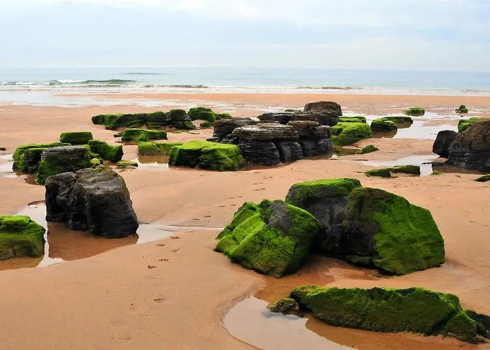 Casa de Férias Les - Naturaleza, Chimenea Y Relax En Asturias